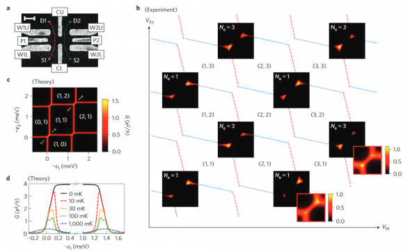 Kondo physics in a spin–charge-entangled double quantum