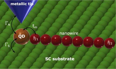 Interplay between correlations and Majorana mode in proximitized quantum dot