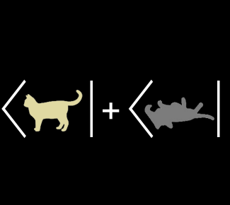 Conference on Philosophy of Physics